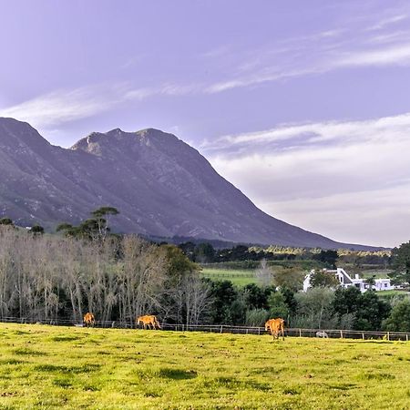 Hemel 'N Aarde Stud Hotell Hermanus Eksteriør bilde