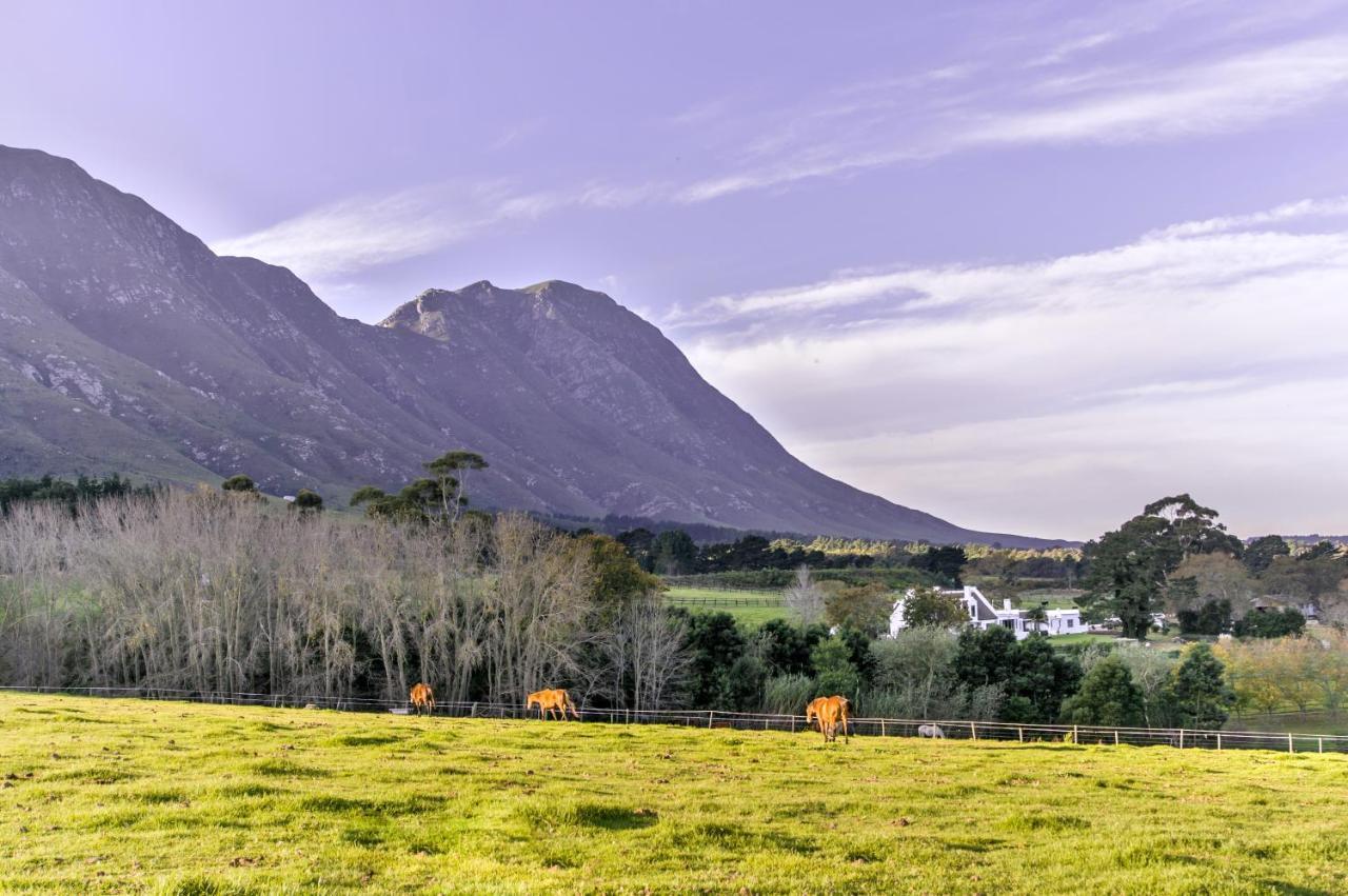 Hemel 'N Aarde Stud Hotell Hermanus Eksteriør bilde